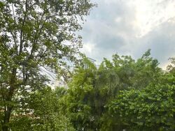 The Baycourt (D16), Condominium #542318681